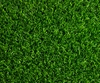VD4 Green Lawn