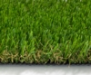 VD4 Green Grass